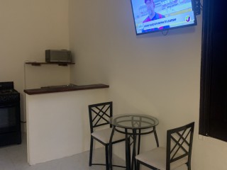 Resort/vacation property For Rent in Rio Nuevo, St. Mary Jamaica | [4]