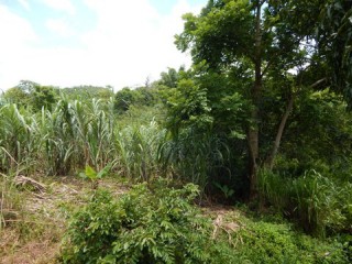 Commercial/farm land For Sale in Summer Hill, St. James Jamaica | [5]
