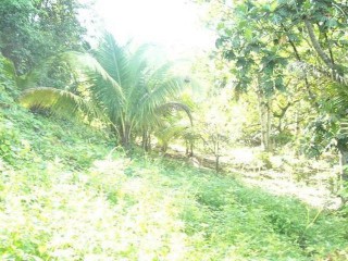 Commercial/farm land For Sale in Bog walk, St. Catherine Jamaica | [1]