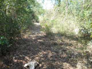 Residential lot For Sale in Eldarado, St. Catherine Jamaica | [1]