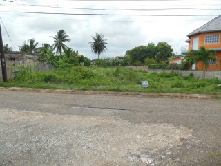 Residential lot For Sale in Green Acres, St. Catherine Jamaica | [3]