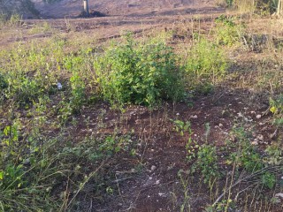 Residential lot For Sale in Halse Hall Clarendon, Clarendon Jamaica | [1]