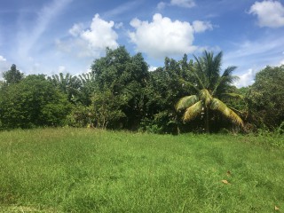 Commercial/farm land For Sale in Clarendon Park, Clarendon Jamaica | [3]