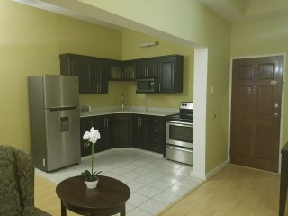 Apartment For Rent in New Kingston, Kingston / St. Andrew Jamaica | [4]