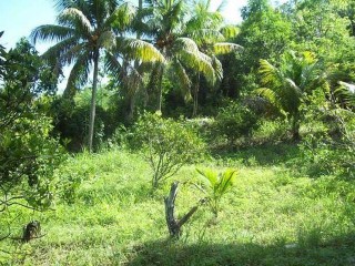 Commercial/farm land For Sale in Bog walk, St. Catherine Jamaica | [10]
