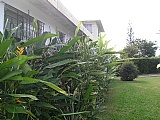 House For Sale in Widcombe, Kingston / St. Andrew Jamaica | [5]