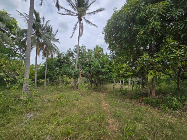 House For Sale in Cocoa Walk, St. Catherine Jamaica | [3]