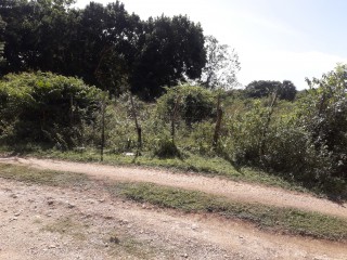 Residential lot For Sale in BlackRiver, St. Elizabeth Jamaica | [4]