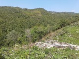 Residential lot For Sale in Red Hills, Kingston / St. Andrew Jamaica | [8]