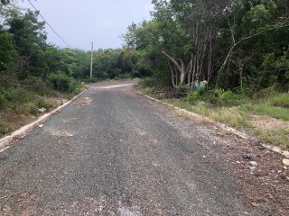 Residential lot For Sale in White House, Westmoreland Jamaica | [4]