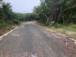 Residential lot For Sale in White House, Westmoreland, Jamaica