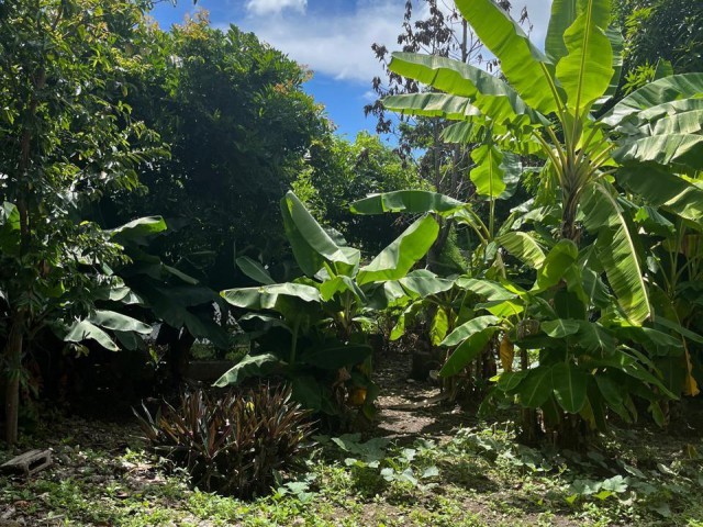 House For Sale in MOLYNES SQUARE, Kingston / St. Andrew Jamaica | [14]