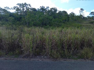 Residential lot For Sale in Friendship Heights Northcoast, St. Ann Jamaica | [1]