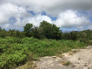Residential lot For Sale in Chippenham Park Bamboo, St. Ann Jamaica | [7]