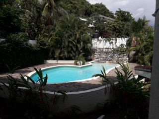 House For Rent in Norbrook, Kingston / St. Andrew Jamaica | [14]