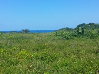 Residential lot For Sale in Fairy Hill, Portland Jamaica | [5]