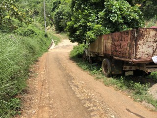 Commercial/farm land For Sale in Dover Castle Redwood St Catherine, St. Catherine, Jamaica