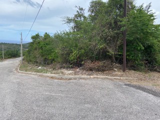 Residential lot For Sale in Duncans, Trelawny Jamaica | [8]