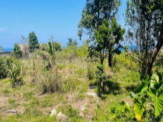 Land For Sale in Tower Isle, St. Mary Jamaica | [2]