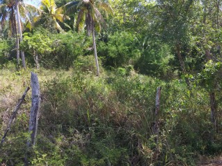 Land For Sale in Mile Gully Manchester, Manchester, Jamaica
