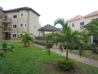 Apartment For Rent in Off Hope Road, Kingston / St. Andrew Jamaica | [10]
