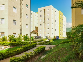 Apartment For Rent in Mona, Kingston / St. Andrew Jamaica | [1]