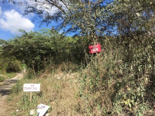 Residential lot For Sale in Yallahs, St. Thomas, Jamaica