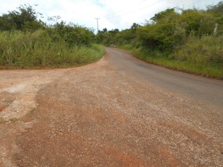 Land For Sale in Wigton, Manchester, Jamaica