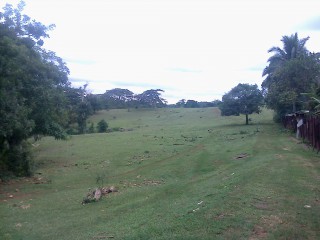 Commercial/farm land For Sale in Bog Walk, St. Catherine, Jamaica