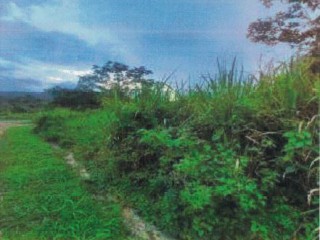 Residential lot For Sale in Carton Claremont, St. Ann, Jamaica