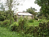 Commercial/farm land For Sale in Friendship near Ocho Rios, St. Ann Jamaica | [4]