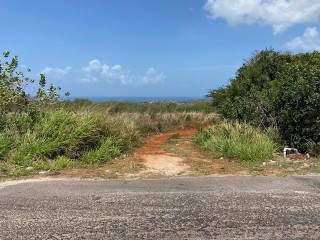 Residential lot For Sale in Treasure Beach, St. Elizabeth, Jamaica