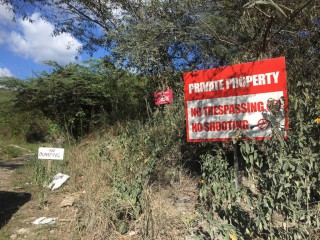 Residential lot For Sale in Yallahs, St. Thomas, Jamaica