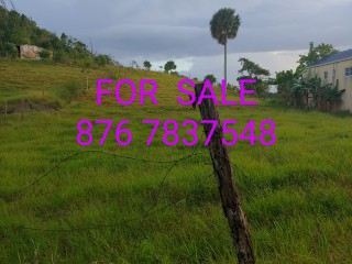 Residential lot For Sale in Knockpatric Mandeville, Manchester, Jamaica