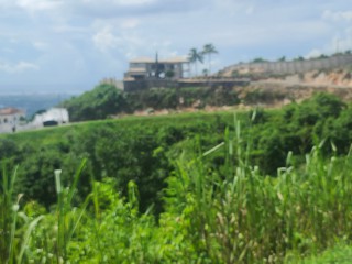 Residential lot For Sale in Chancery Hall, Kingston / St. Andrew Jamaica | [5]