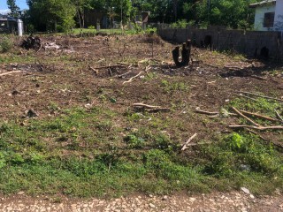 Residential lot For Sale in Montclair Heights, Clarendon Jamaica | [3]