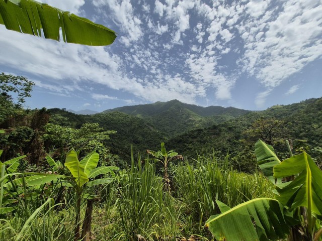 Land For Sale in Swift river, Portland Jamaica | [2]