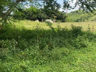 Land For Sale in Montego Bay, St. James Jamaica | [6]