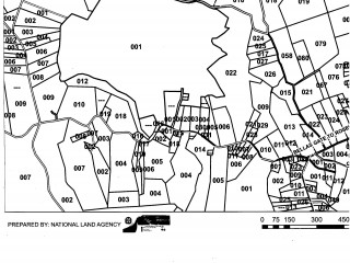 Land For Sale in Rosewell, Clarendon Jamaica | [8]