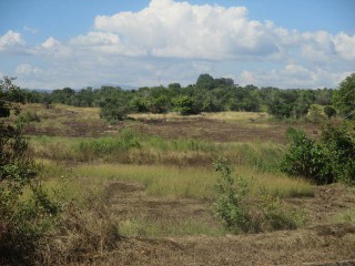 Residential lot For Sale in Bustamante Highway, Clarendon Jamaica | [2]