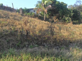 Residential lot For Sale in Linstead Buena Vista, St. Catherine Jamaica | [2]