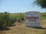 Commercial/farm land For Sale in May Pen, Clarendon Jamaica | [2]