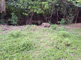 Land For Sale – Grange Hill, Portland, Jamaica