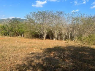 Land For Sale - Retreat, Clarendon, Jamaica