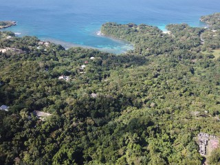 Resort/vacation property For Sale in San San, Portland Jamaica | [13]