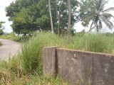 Residential lot For Sale in york street, St. Catherine Jamaica | [3]