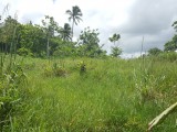 Residential lot For Sale in york street, St. Catherine Jamaica | [11]