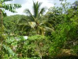 Residential lot For Sale in Moneague, St. Ann Jamaica | [5]