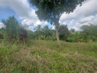 Land For Sale in Jeffrey Town, St. Mary, Jamaica