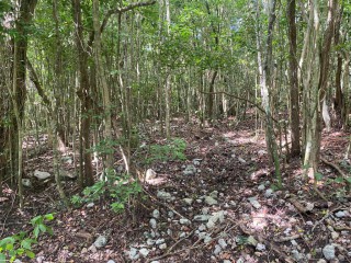 Land For Sale in Montego Bay, St. James Jamaica | [10]